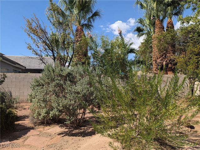 2562 Orangeglory Drive, Henderson, NV 89052