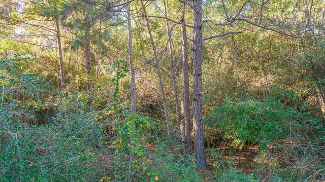 000 Broken Arrow, Onalaska, TX 77360