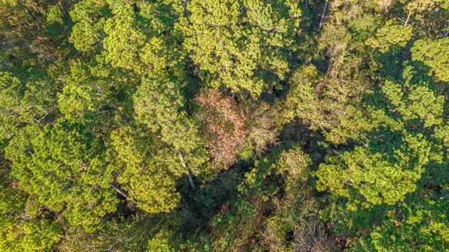 000 Broken Arrow, Onalaska, TX 77360