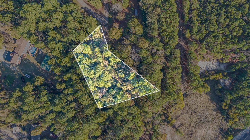 000 Broken Arrow, Onalaska, TX 77360