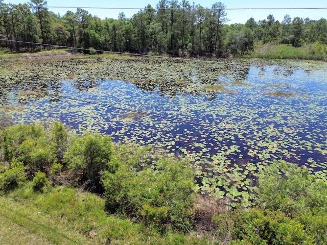 33455 BERRYHILL DRIVE, Webster, FL 33597
