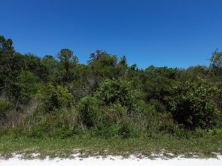 33455 BERRYHILL DRIVE, Webster, FL 33597