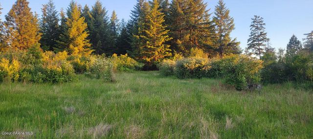 NKA Lisa Rd North 20, Harrison, ID 83833