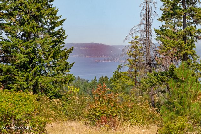 NKA Lisa Rd North 20, Harrison, ID 83833