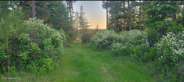 NKA Lisa Rd North 20, Harrison, ID 83833