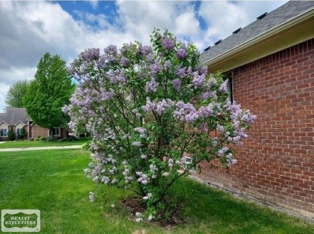 51392 Nicolette Road, Chesterfield Twp, MI 48047