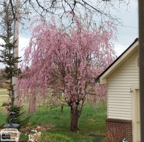 51392 Nicolette Road, Chesterfield Twp, MI 48047