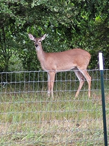 19707 Fm 485, Burlington, TX 76519