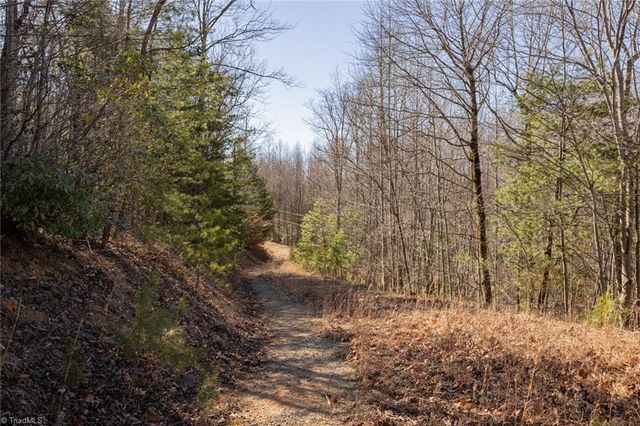 Lot 4 Green Point Lane, Boomer, NC 28606
