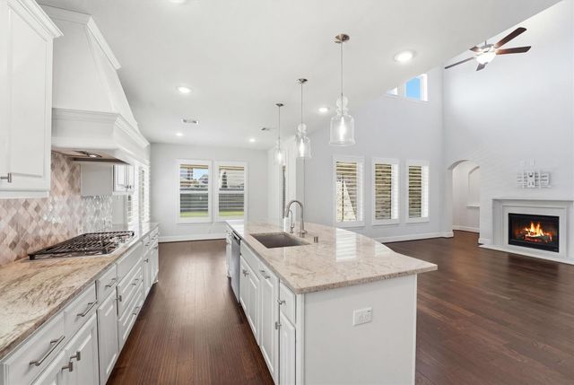 18011 Zagranski Cedar, Cypress, TX 77433