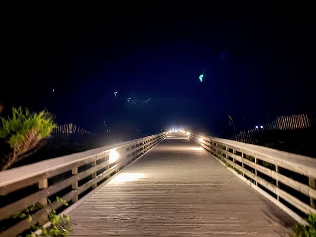 1300 Ocean Boulevard 140, Isle Of Palms, SC 29451