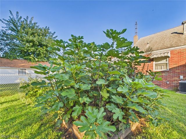 3007 10th Avenue, Vienna, WV 26105