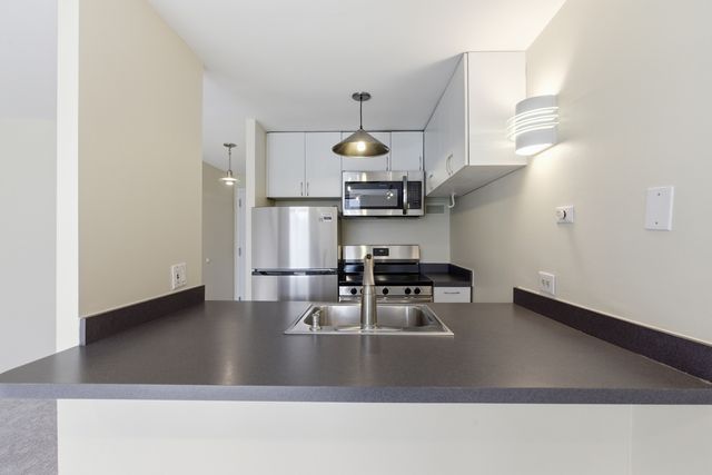 1221 N Dearborn Street 602N, Chicago, IL 60610