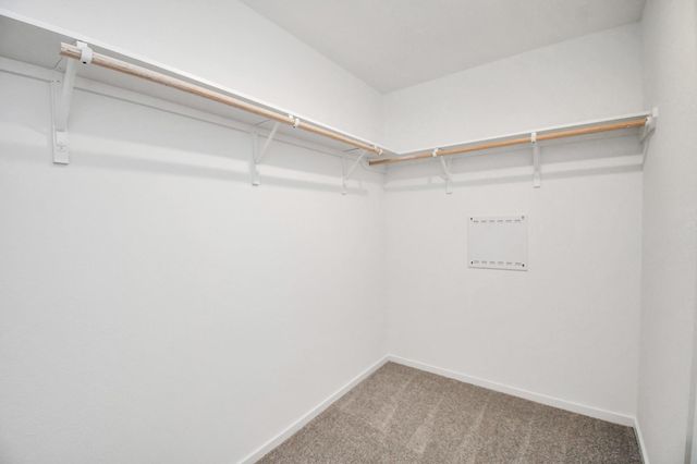 21522 Cottonwood Meadows Trail, Waller, TX 77484