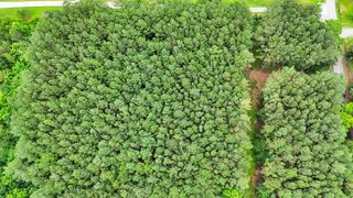 1645 Billingsley Road, Soddy Daisy, TN 37379