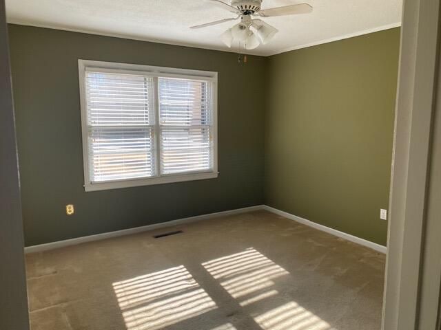 304 Greenbay Street, Walterboro, SC 29488