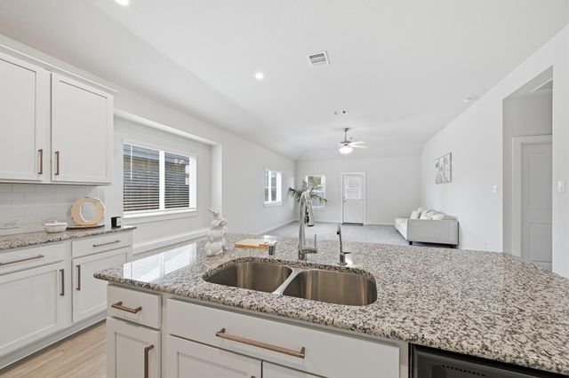 21431 Indigo Ruth Drive, Spring, TX 77379