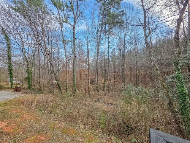 234 Pine Tree Lane, Dahlonega, GA 30533