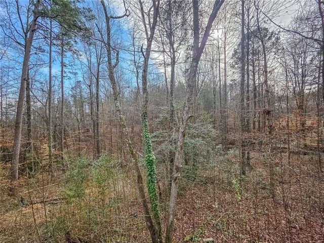 234 Pine Tree Lane, Dahlonega, GA 30533