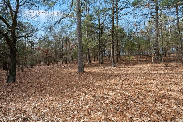 10249 Lancaster Road, Rudy, AR 72952