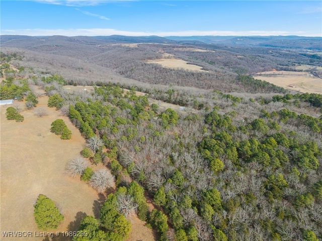 10249 Lancaster Road, Rudy, AR 72952