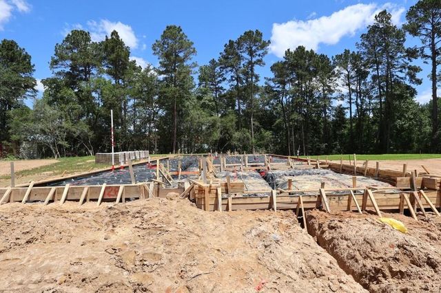 128 Frost Fall Court, Willis, TX 77318