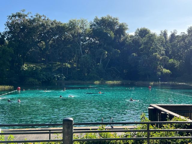 0000 SE 116 Lane, Dunnellon, FL 34431