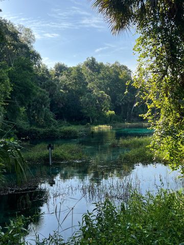 0000 SE 116 Lane, Dunnellon, FL 34431