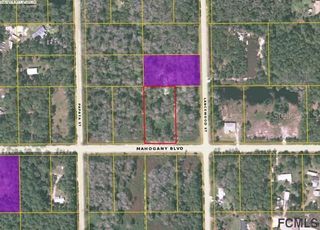 5014 N Mahogany BOULEVARD, Bunnell, FL 32110