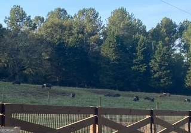 919 Arnold Bottoms Road, Comer, GA 30629