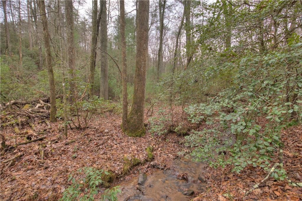 2152 Royal Fern Trail, Big Canoe, GA 30143
