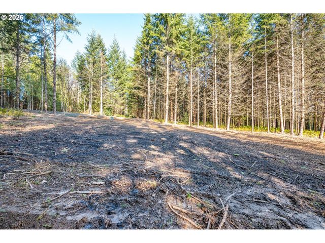 0 Bunker Hill Rd A, Longview, WA 98632