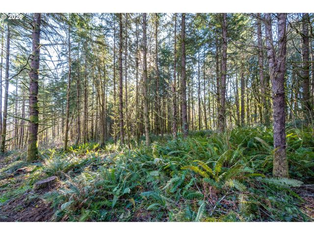 0 Bunker Hill Rd A, Longview, WA 98632