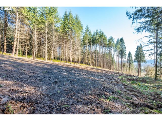 0 Bunker Hill Rd A, Longview, WA 98632