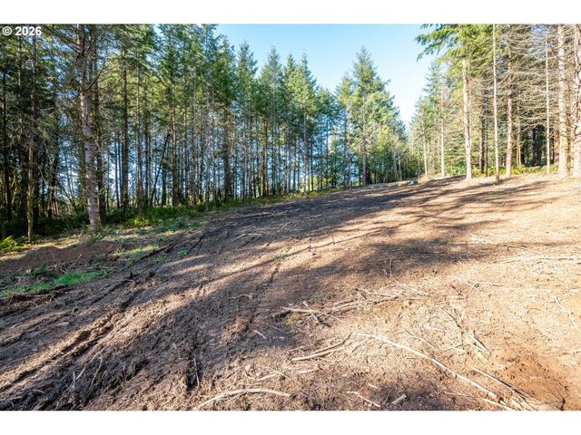 0 Bunker Hill Rd A, Longview, WA 98632