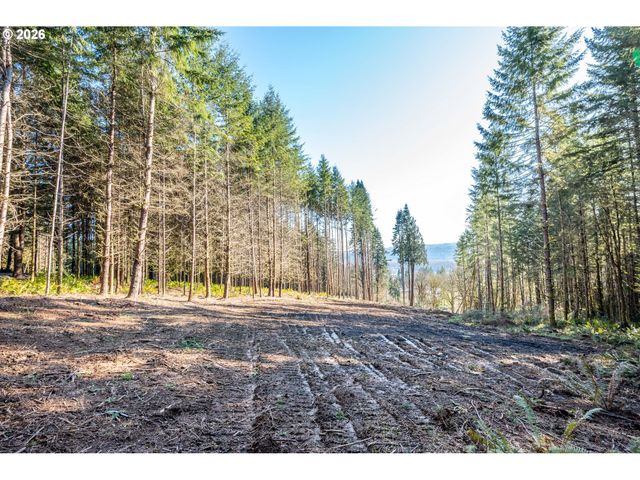 0 Bunker Hill Rd A, Longview, WA 98632