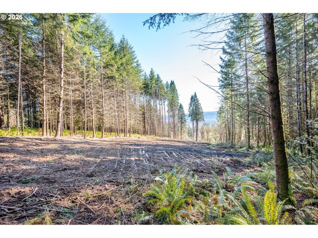 0 Bunker Hill Rd A, Longview, WA 98632