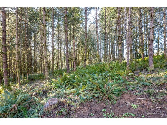 0 Bunker Hill Rd A, Longview, WA 98632