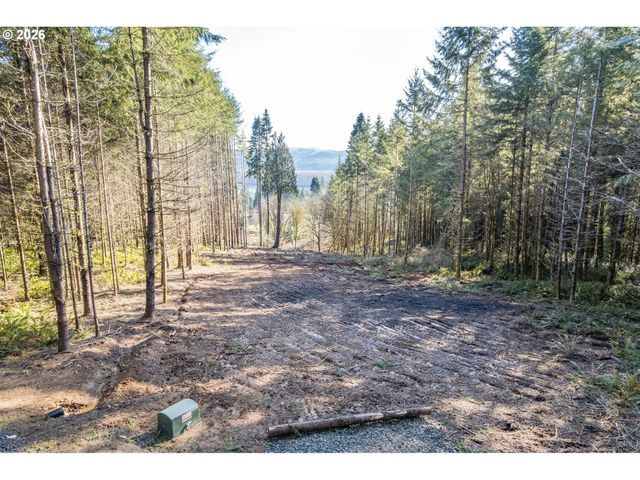 0 Bunker Hill Rd A, Longview, WA 98632