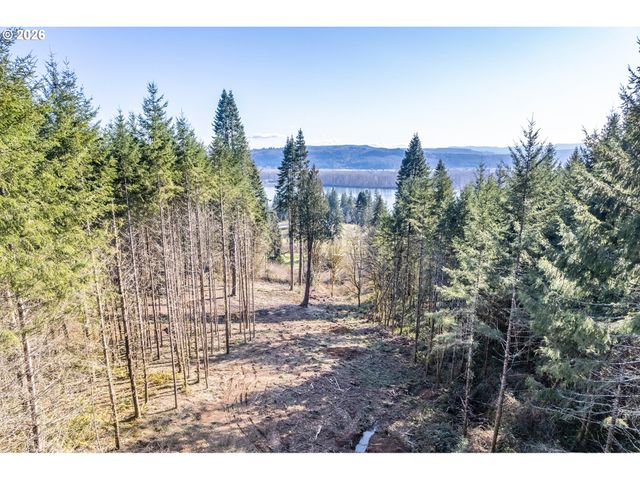 0 Bunker Hill Rd A, Longview, WA 98632