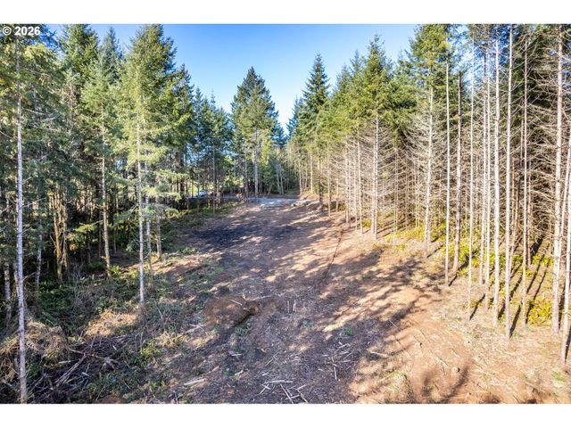 0 Bunker Hill Rd A, Longview, WA 98632