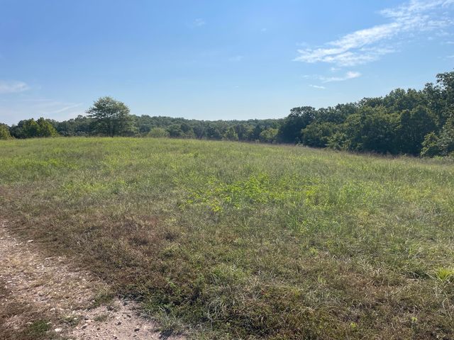 258 Acres Mikes Creek Road, Powell, MO 65730