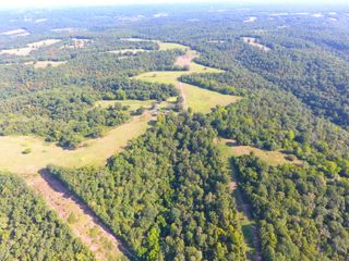 258 Acres Mikes Creek Road, Powell, MO 65730