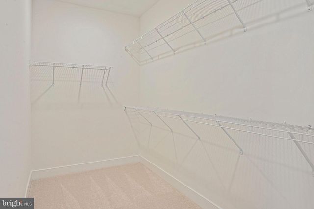 19872 YELLOW DAISY TER, Ashburn, VA 20147