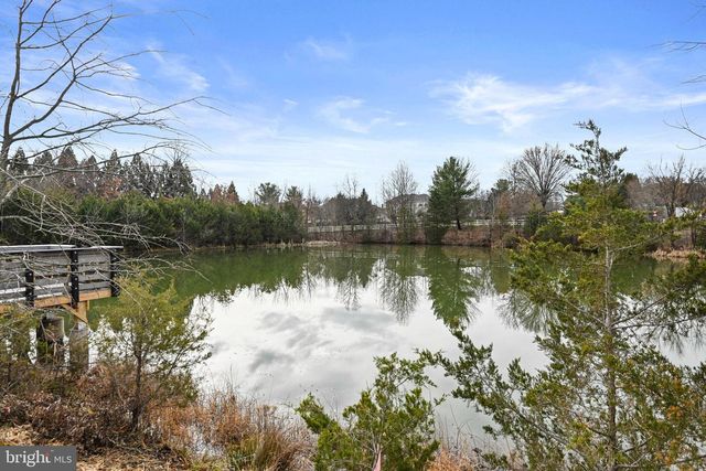 19872 YELLOW DAISY TER, Ashburn, VA 20147