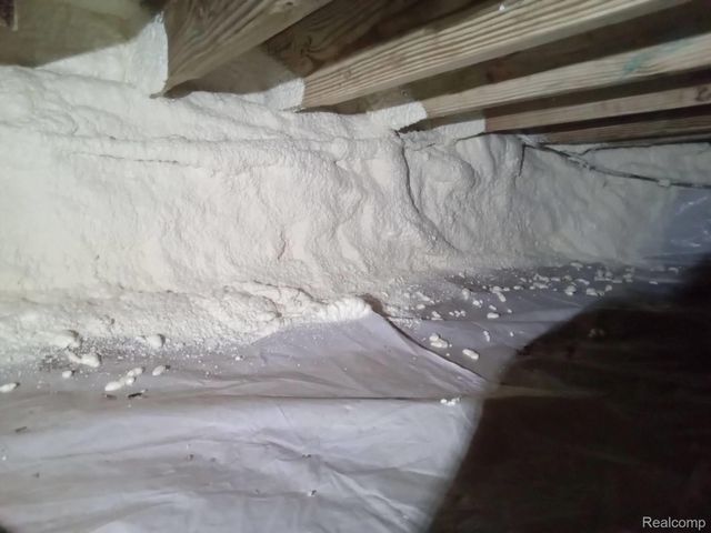 24125 Martha Washington Drive, Southfield, MI 48075