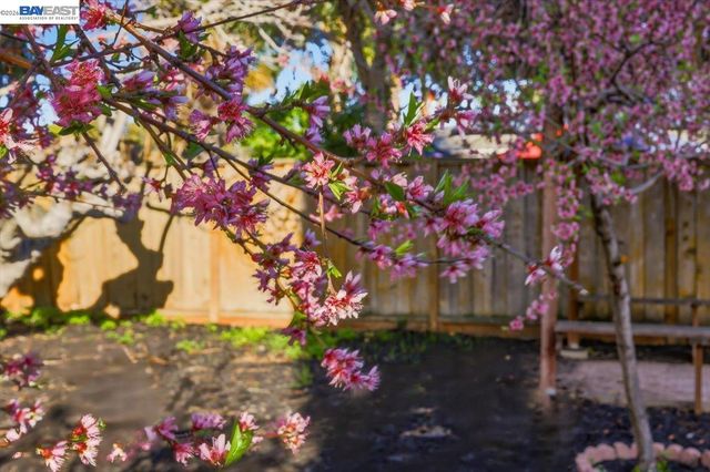 1565 Mendoza Ct, Pleasanton, CA 94566