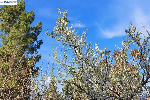 1565 Mendoza Ct, Pleasanton, CA 94566