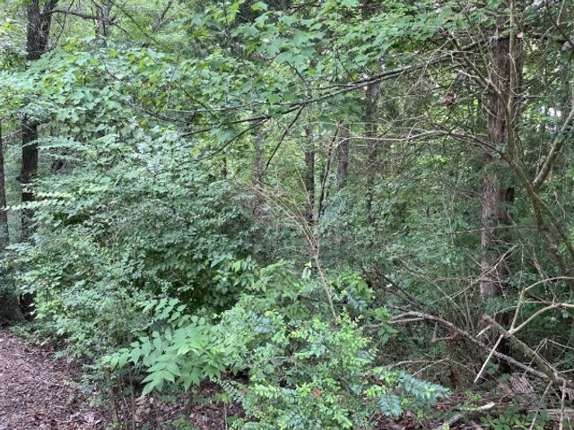 136 N Poole St, Ashland City, TN 37015