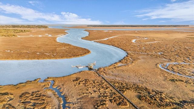 1039 Shell Point Cove Road NE, Townsend, GA 31331